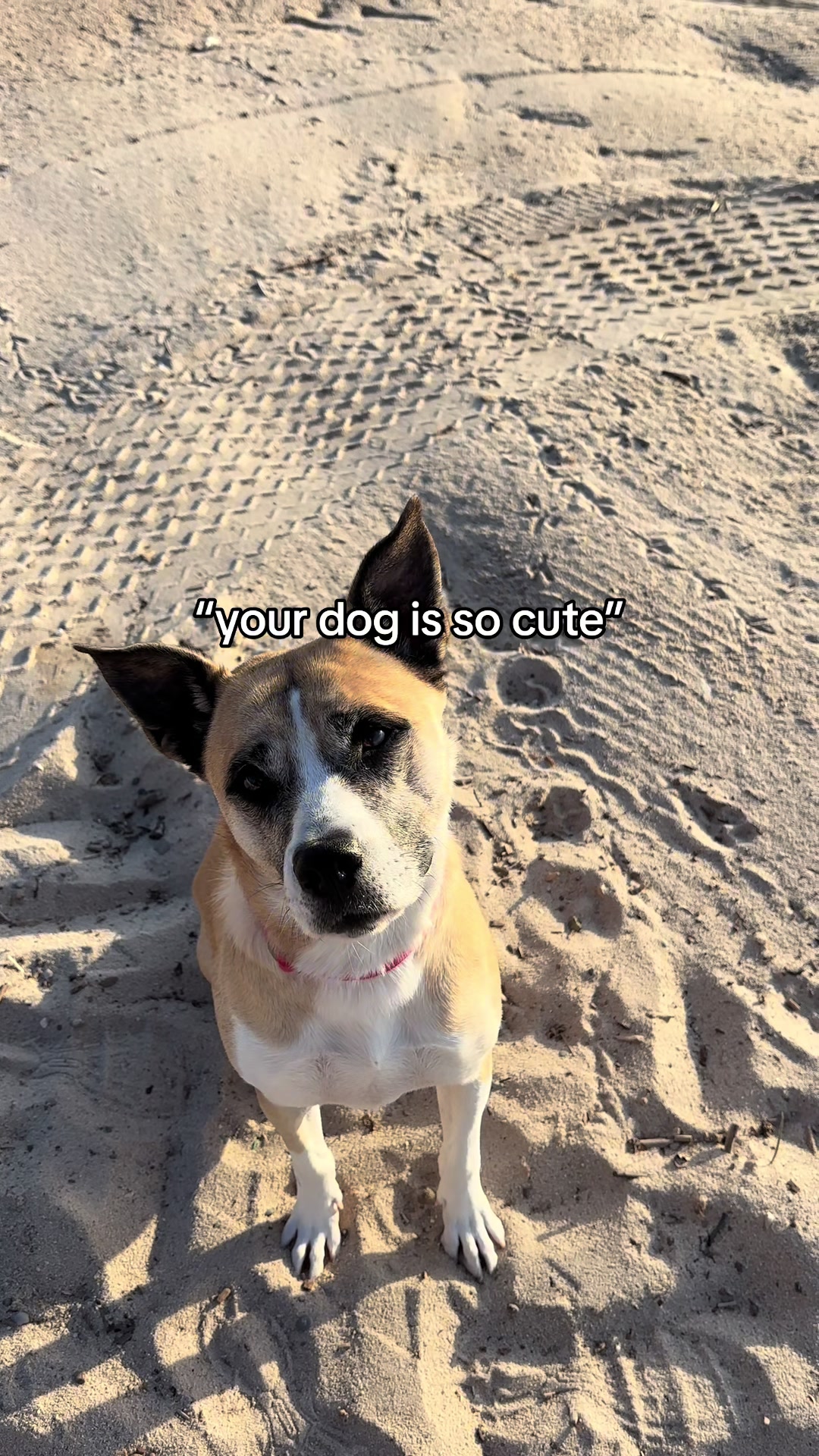 @Moo & Robyn 🐾 | UGC Creator