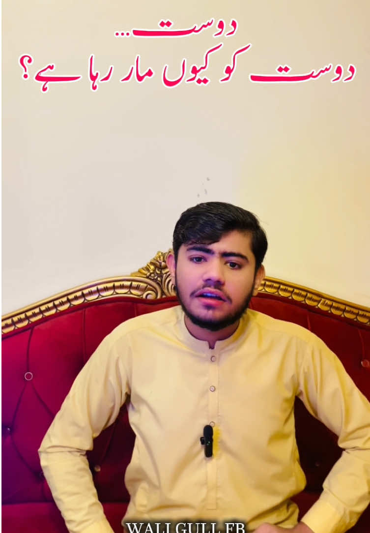 @Wali Gull 215 Family