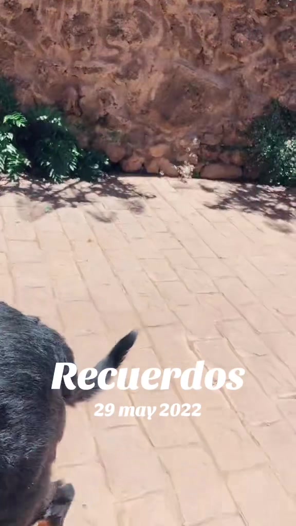 @Michacho💕💕