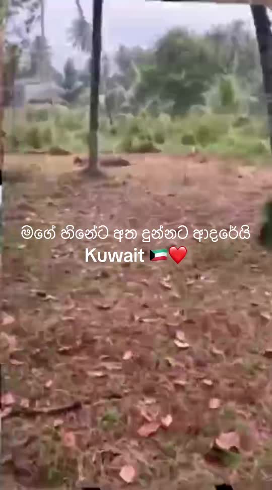 @jayani831
