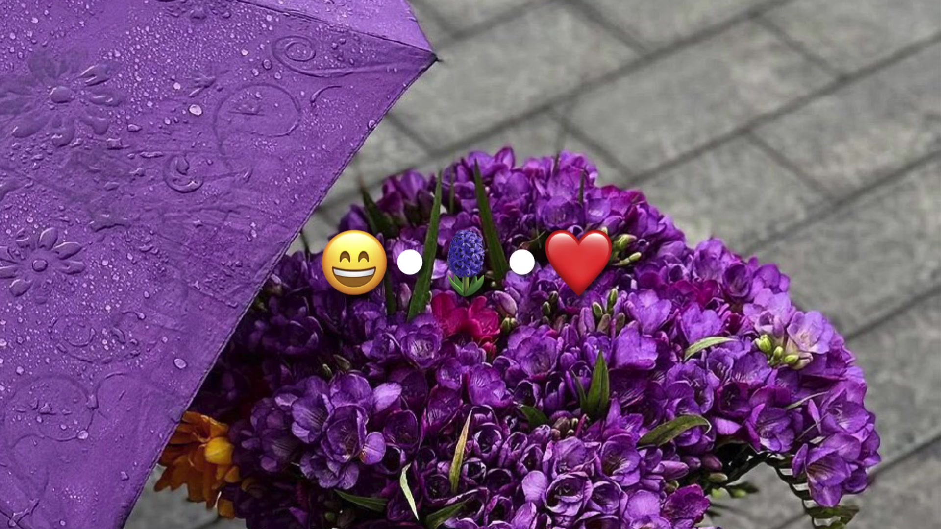@isakow_l8