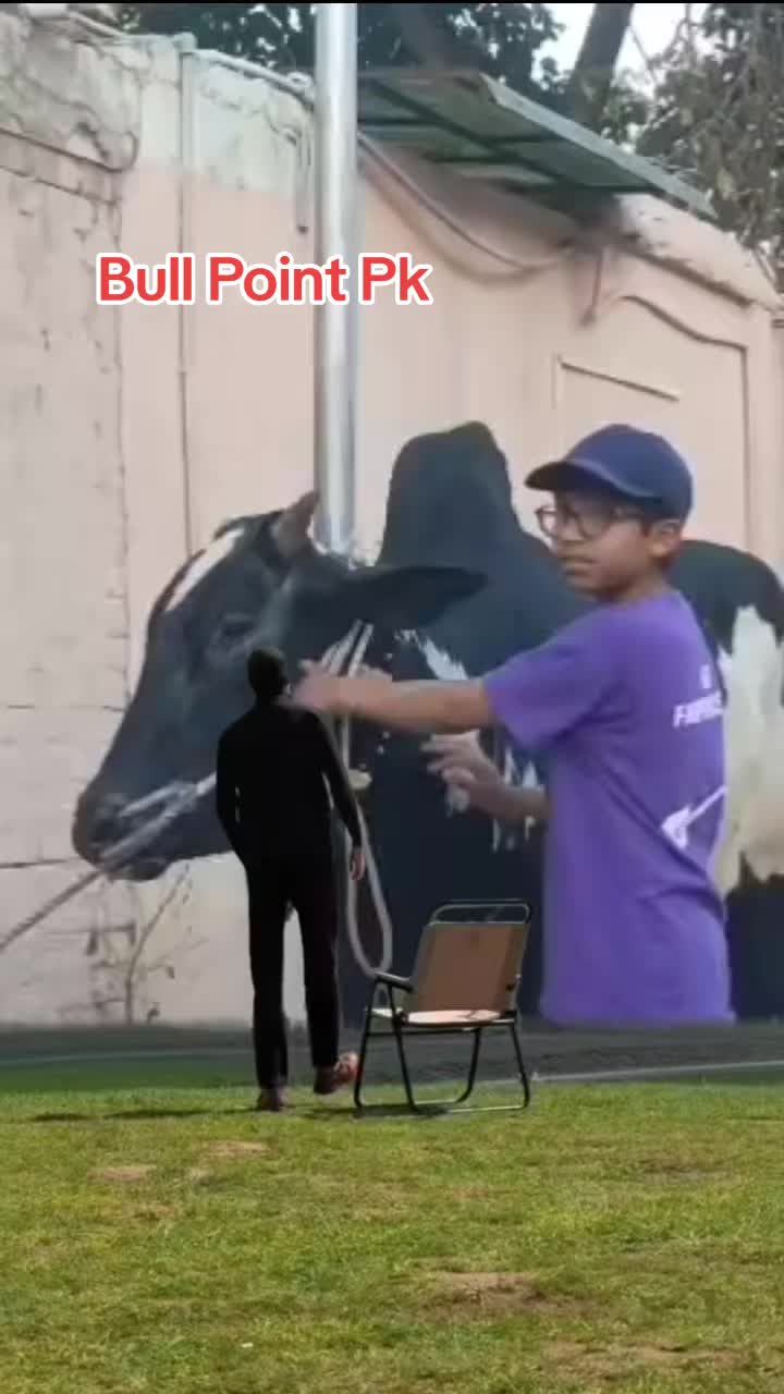 @Bullpointpk_official
