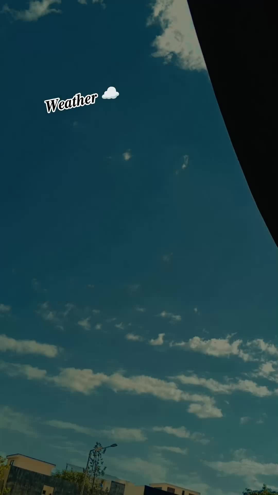 @♛ 𝗦𝗵𝗮𝗺𝗿𝗼𝘇 𝗟𝗮𝗳𝘁𝗶 ♛