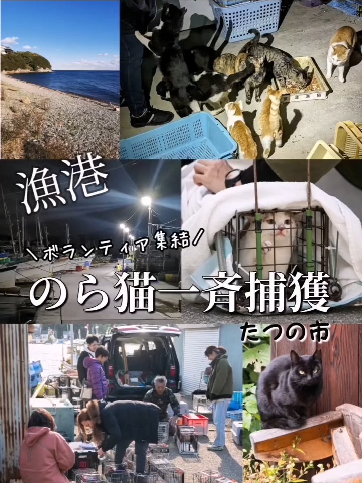 @user1253083083448