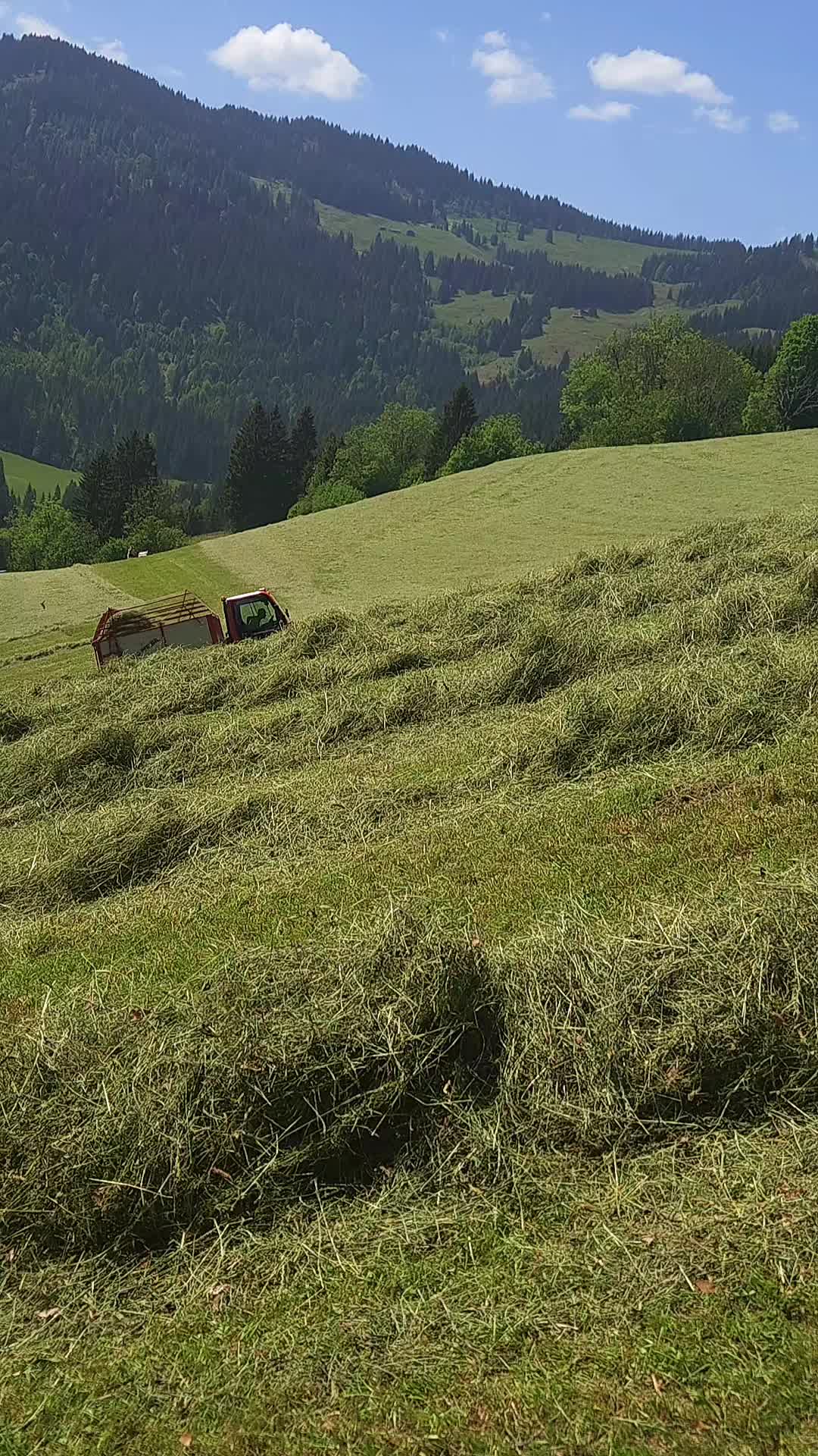 @Da Obinger🚜⛰️🇦🇹