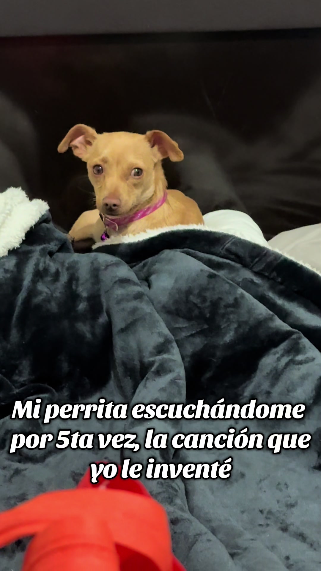 @MarianaArguijo