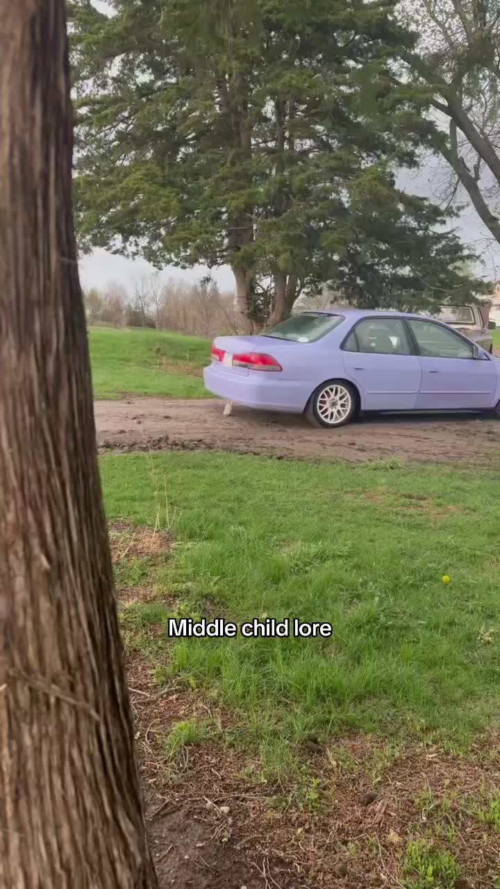 @slammed_dailys