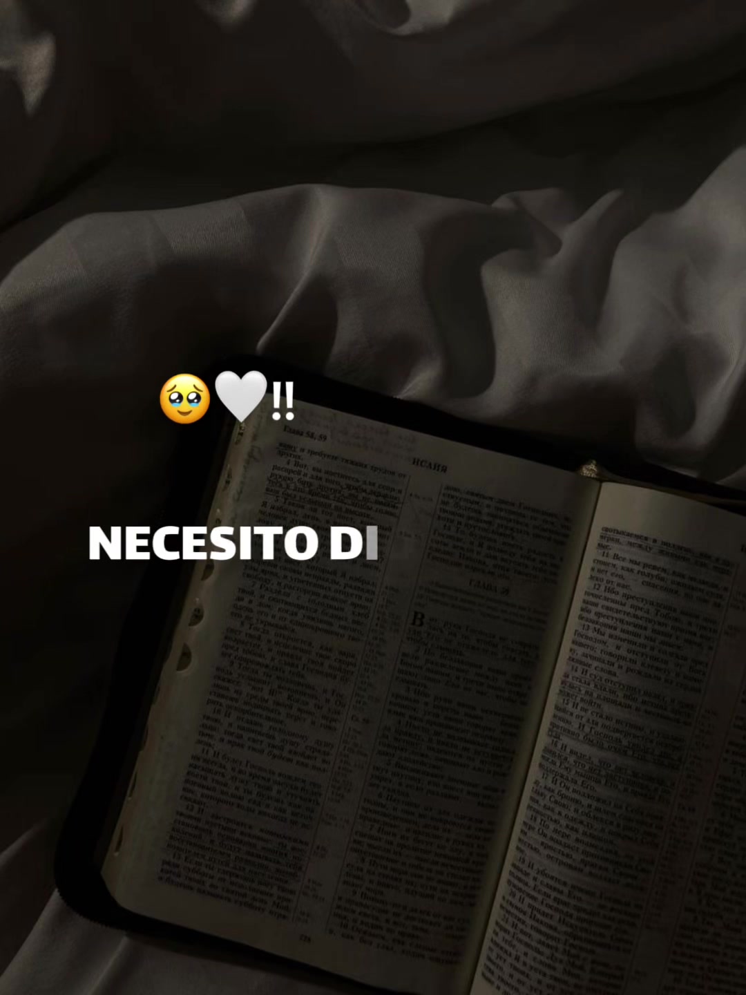 @Nilsido Luis