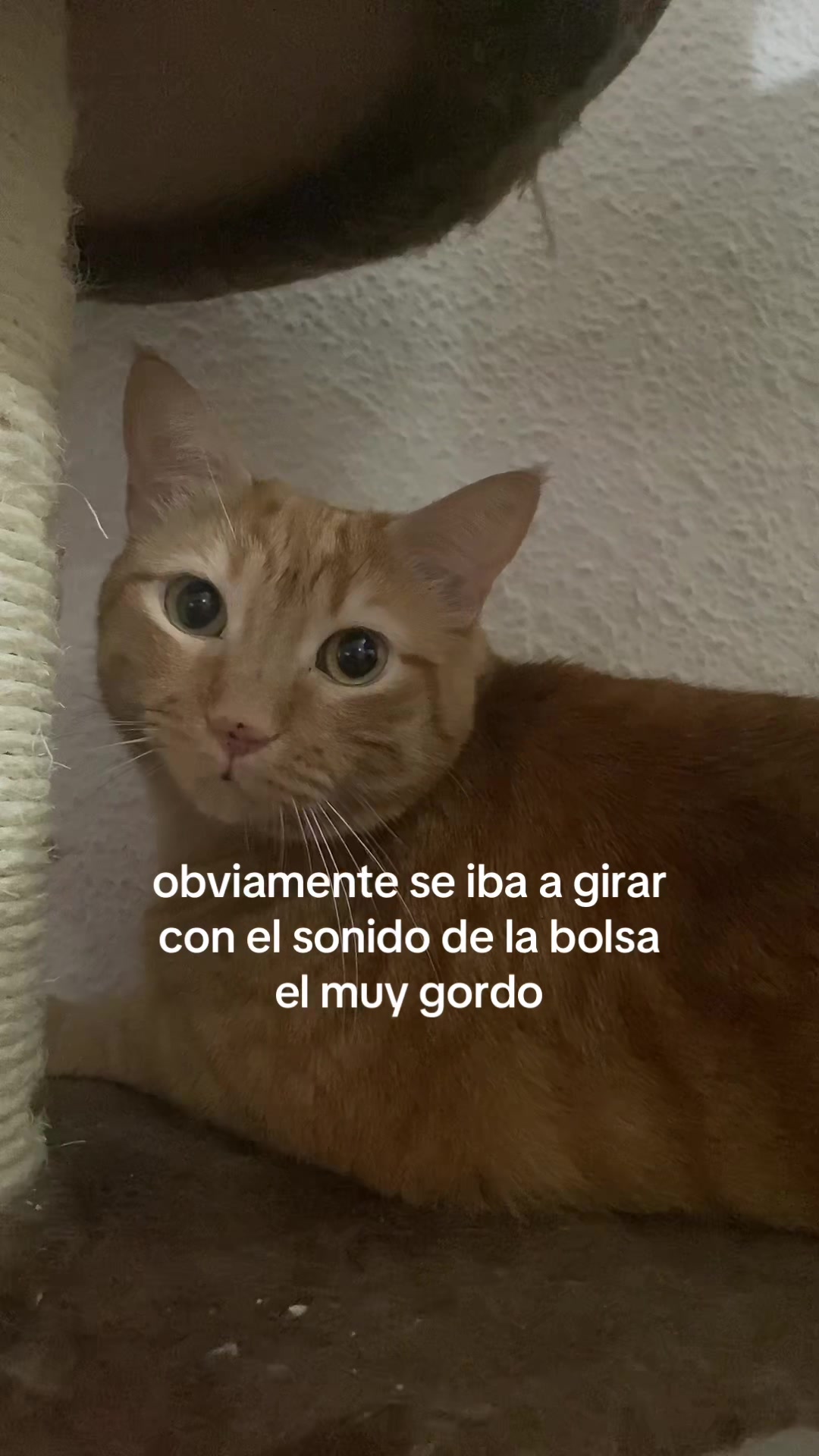 @Lena