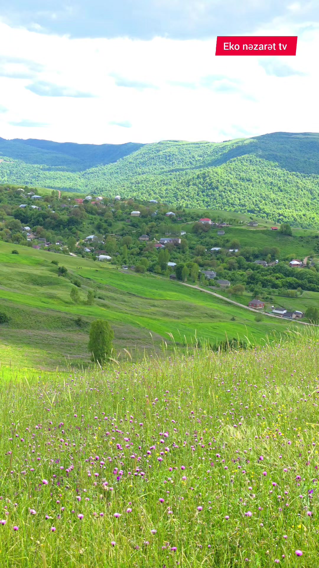 @Adiyev Məhəmməd