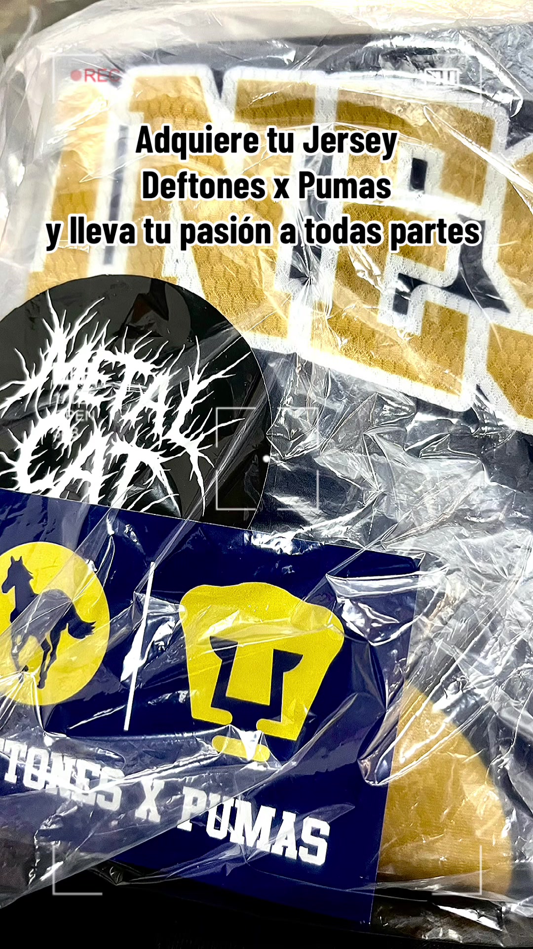 @M3tal_Cat