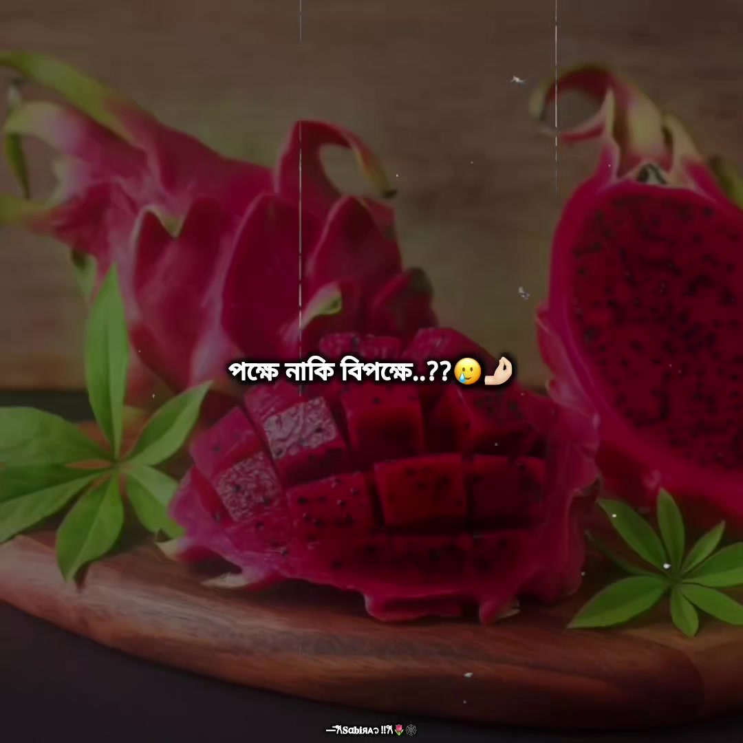 @—Íððαðð¢ÑáŽá¡ !!ðð·ðžïž