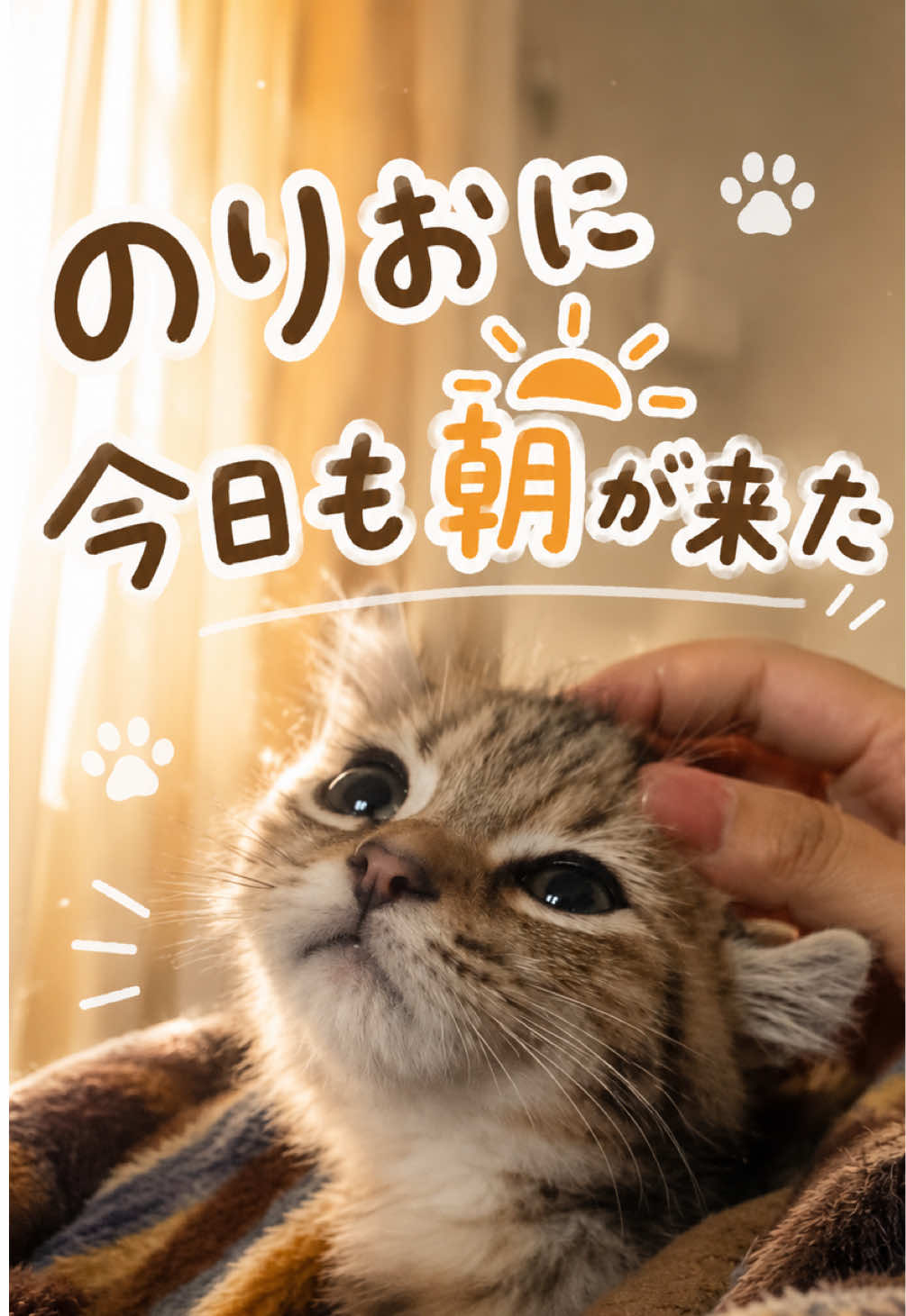 @のりおのTikTok