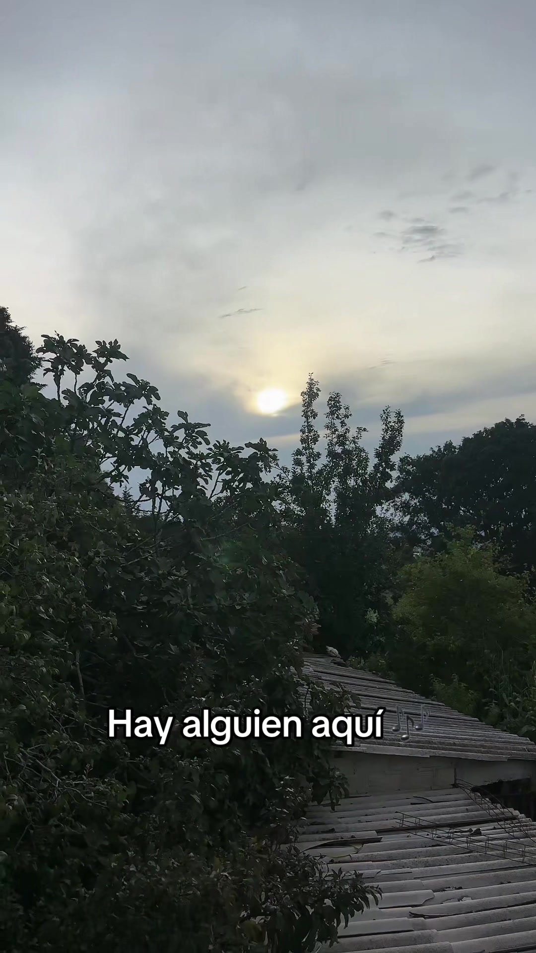 @🇲🇽 ᙖ&epsilon;тყᴿᥫ᭡