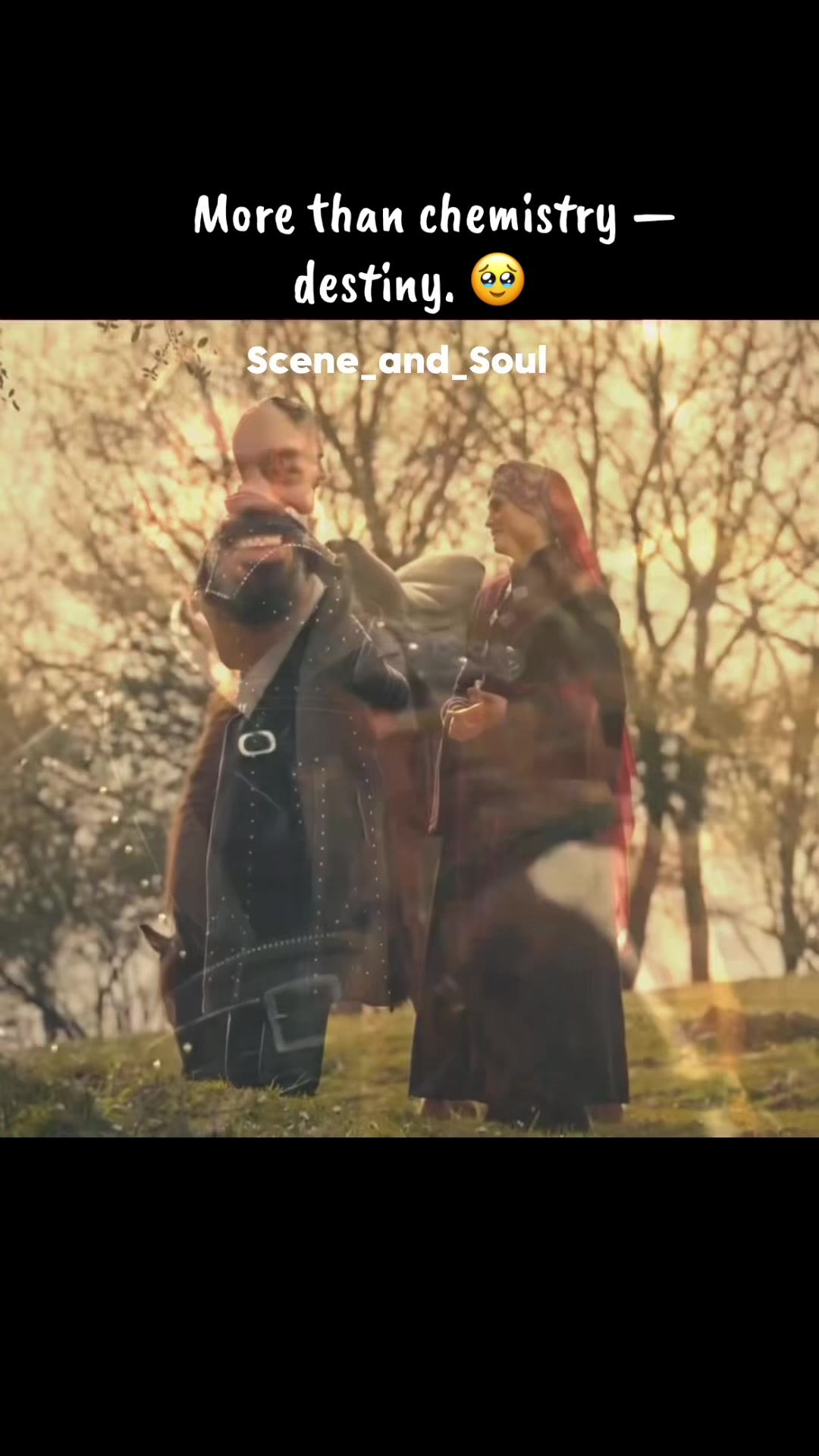 @scene_and_soul