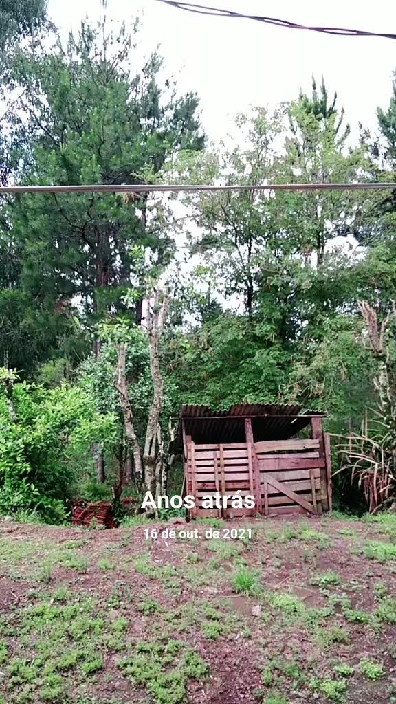 @brasillll