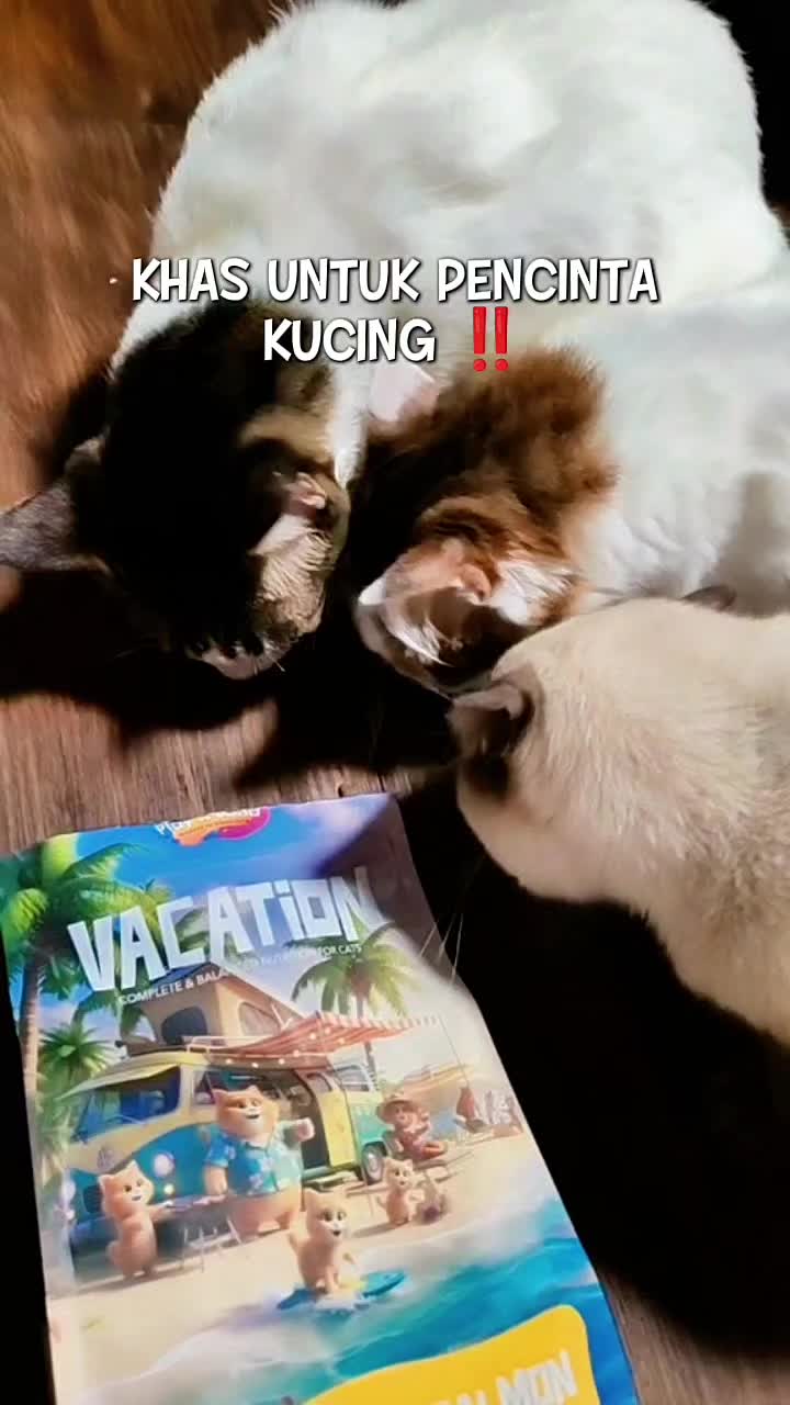 @Norazrena | Racun Tiktok