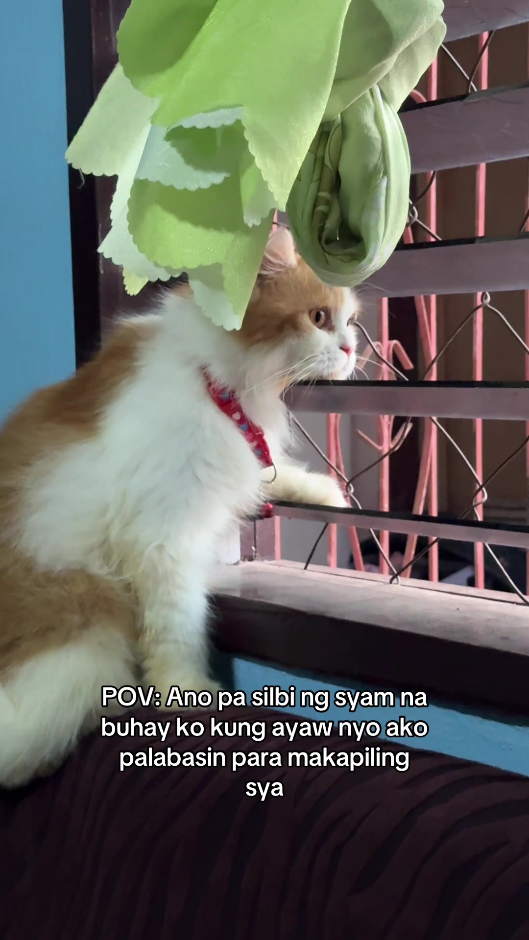 @Lalah1215