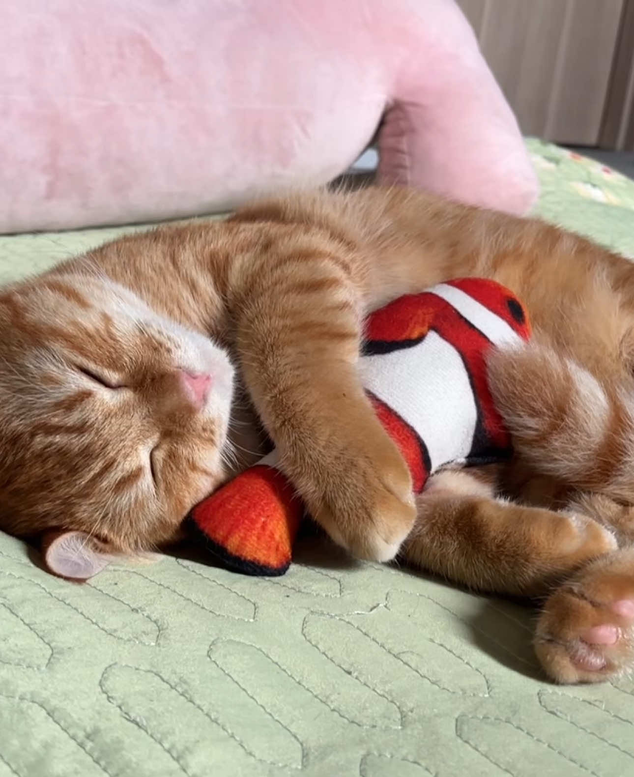 @Em pé Cam 🍊🧡