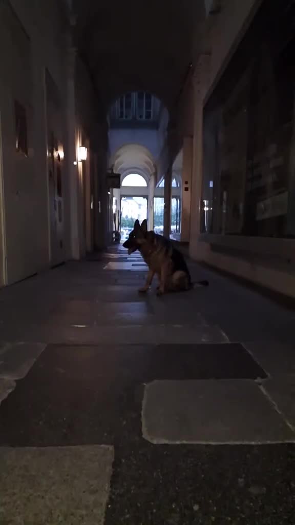 @Nala