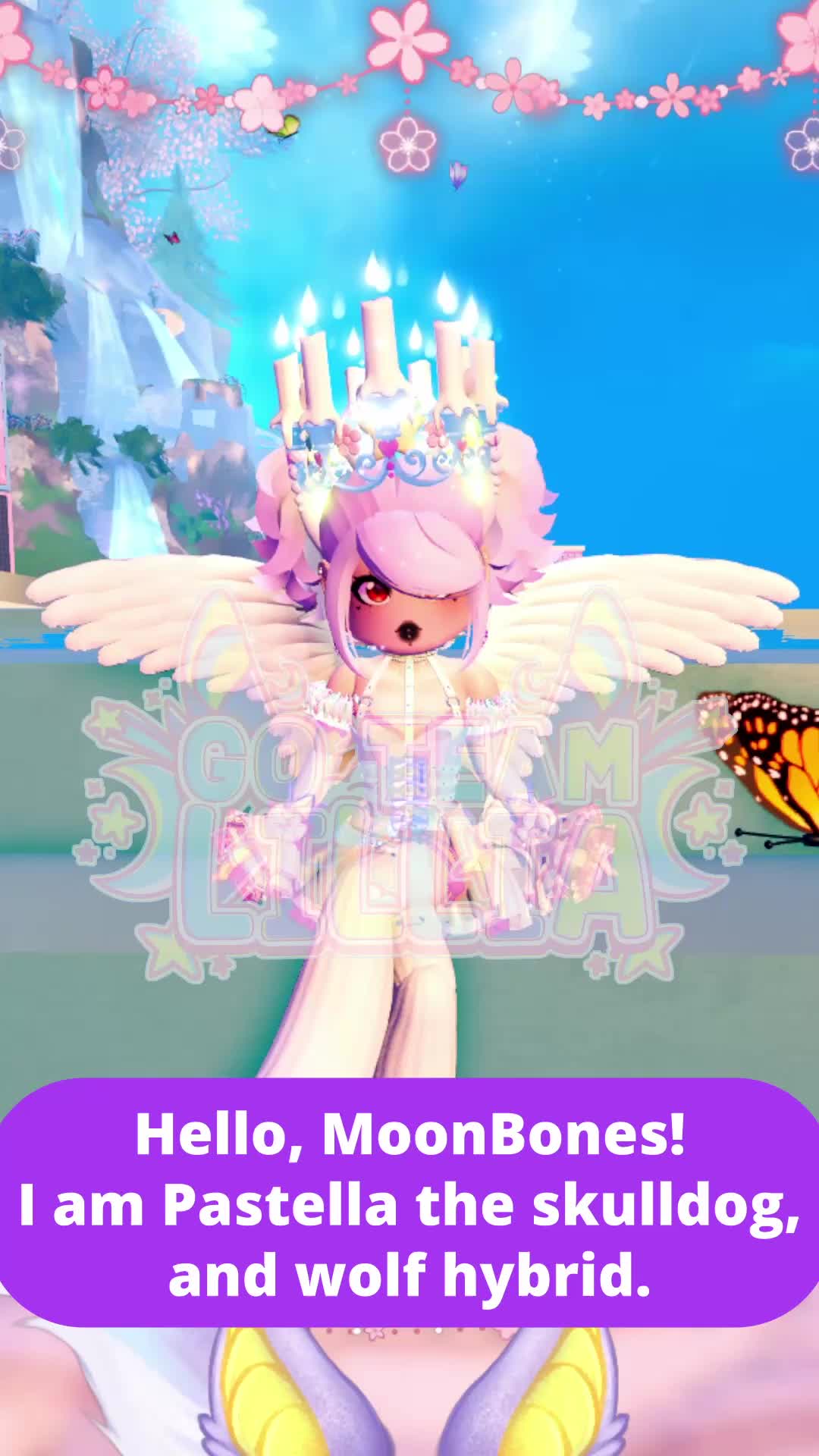 @Lunia🌙🦴