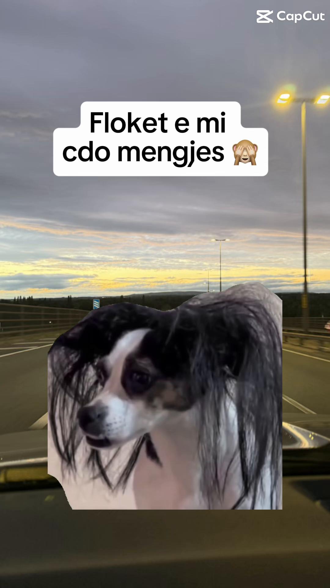@Esmi.