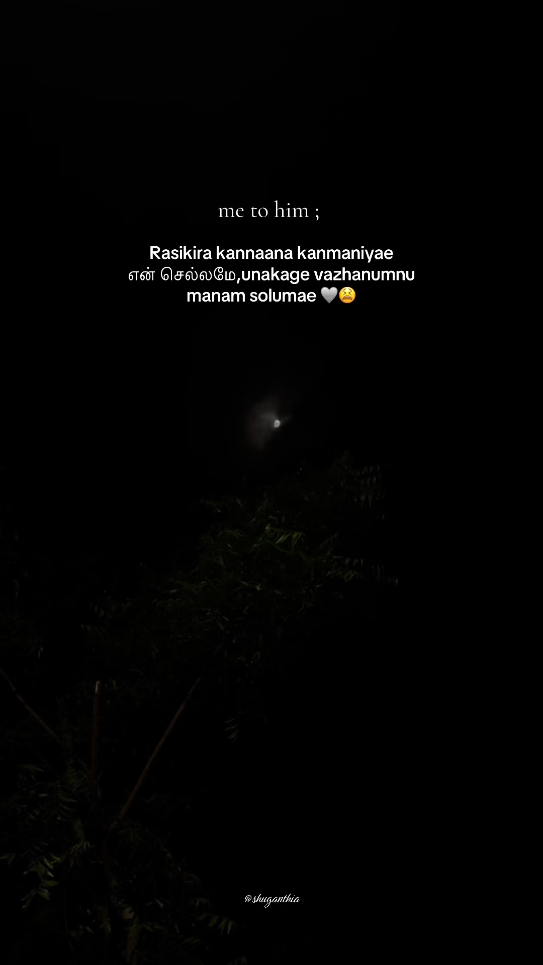 @𝓢 | 11 🎀