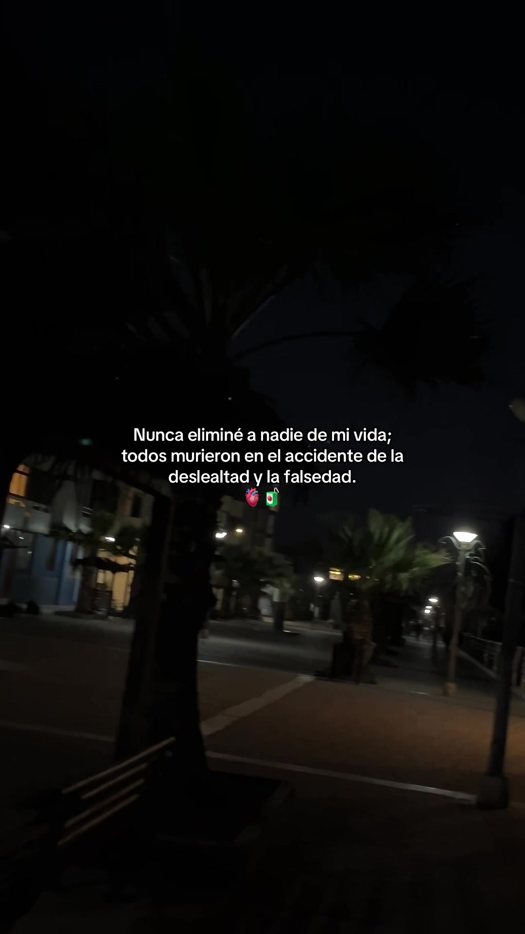 @Gatocix 🐱
