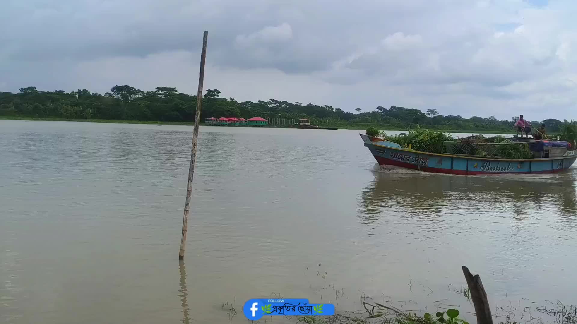 @🍃🕊️ ”প্রকৃতির ছোঁয়া” 🕊️🍃