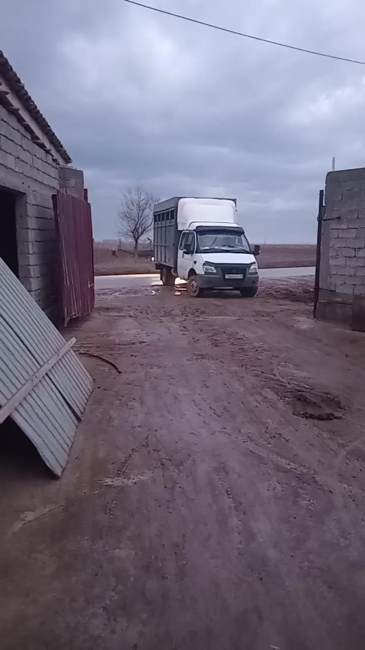 @Ғалымжан