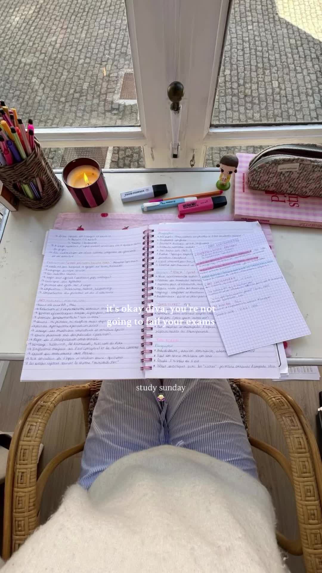 @studywithsheilz