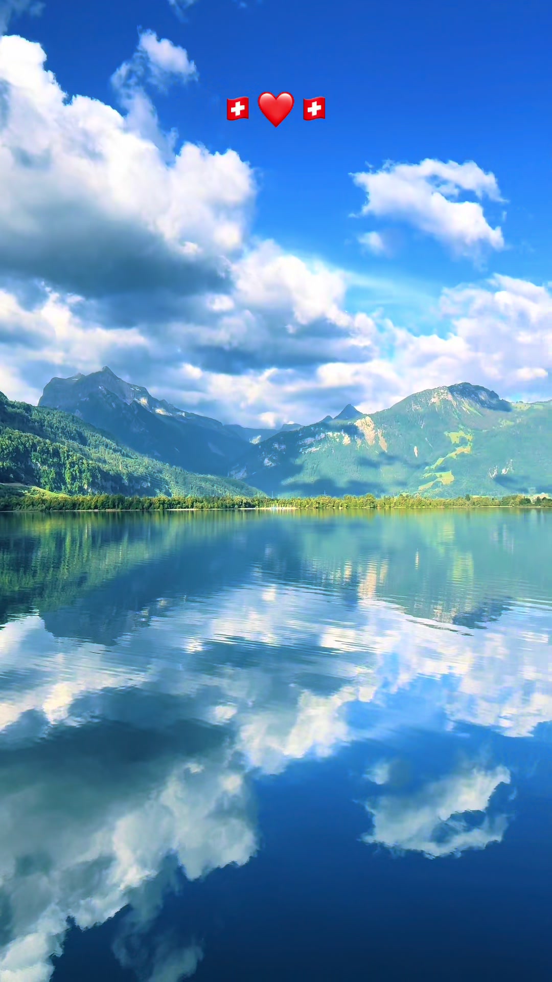@Traveler