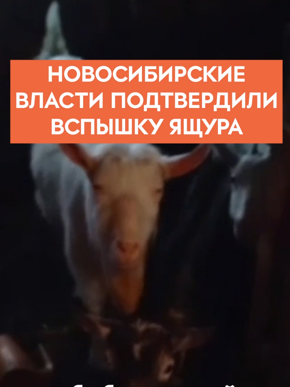 @Горизонтальная Россия@