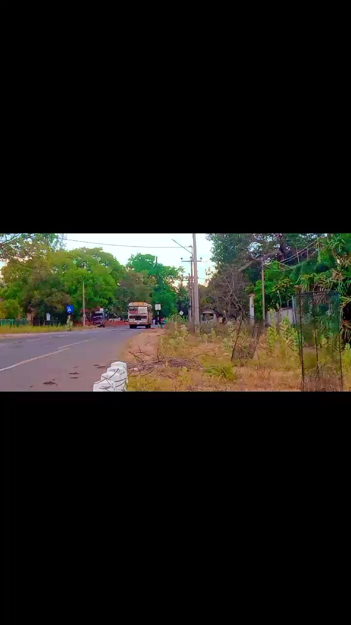 @bus lover ❤️❤️