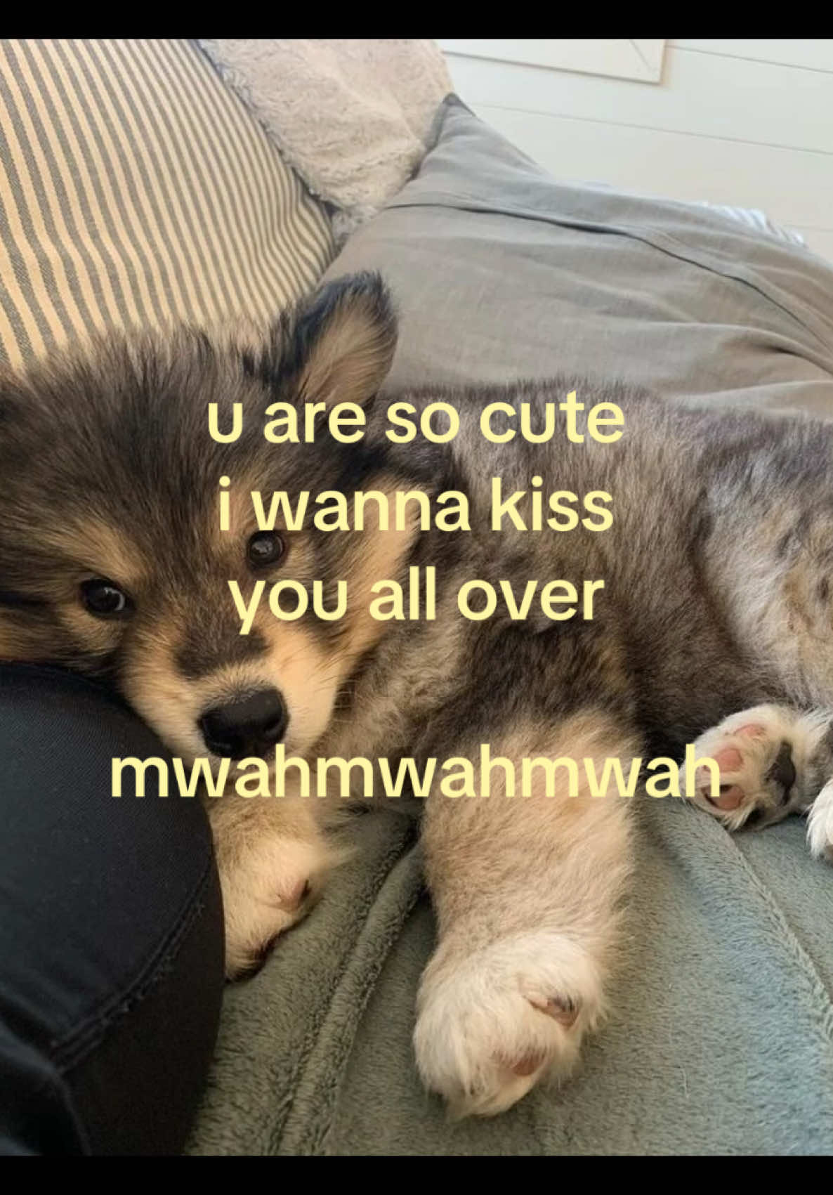 @iseenthisinmydream
