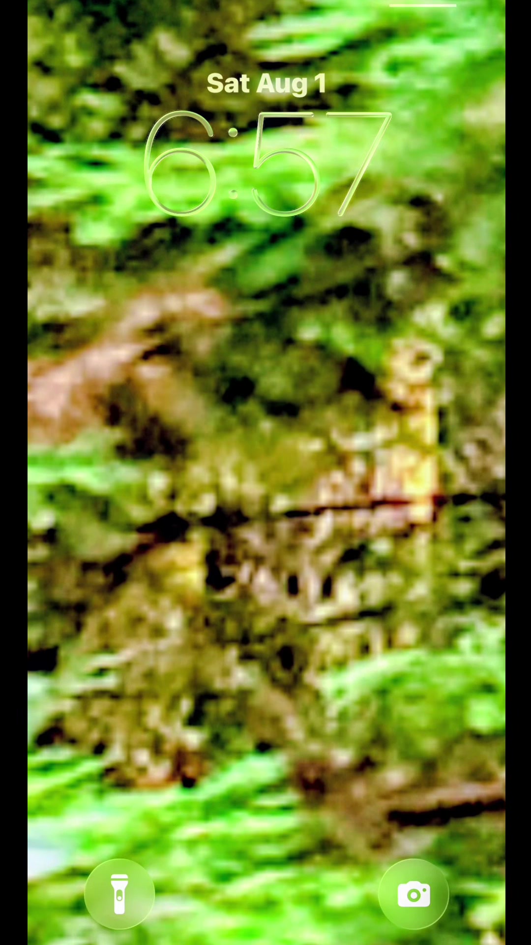@🌲Forest Friend🌲🙏💗🫈