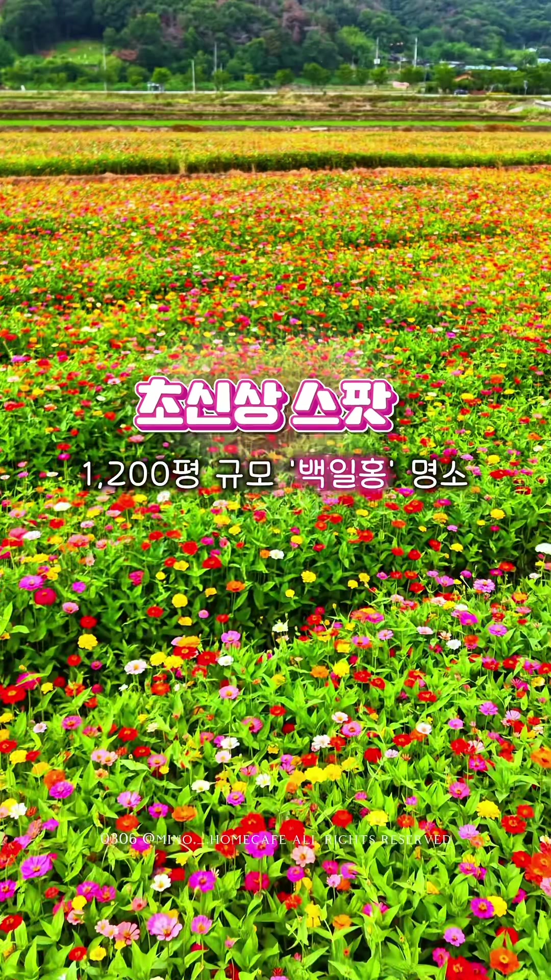 @mino36 미노36