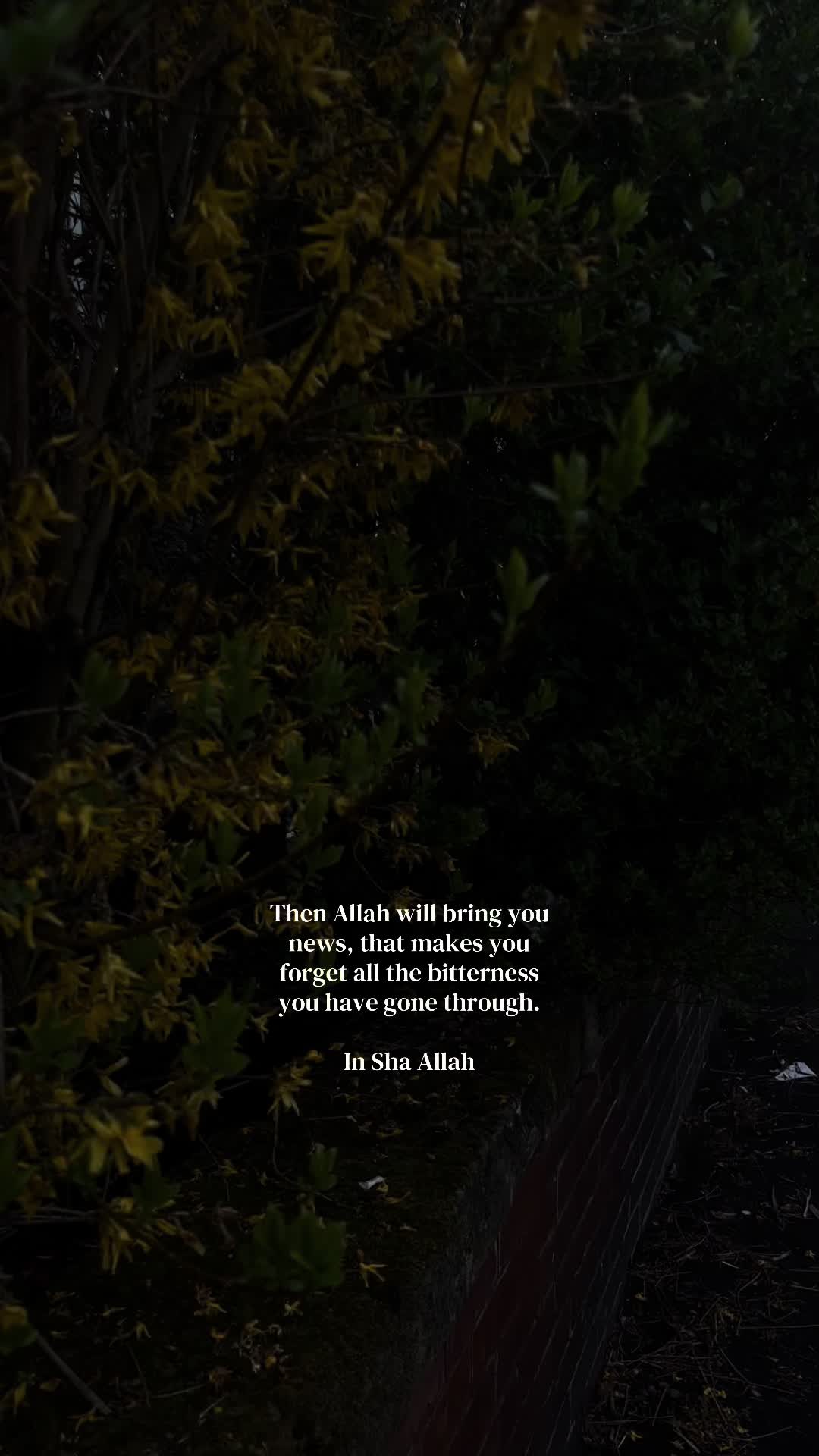 @No Doubt🕊️