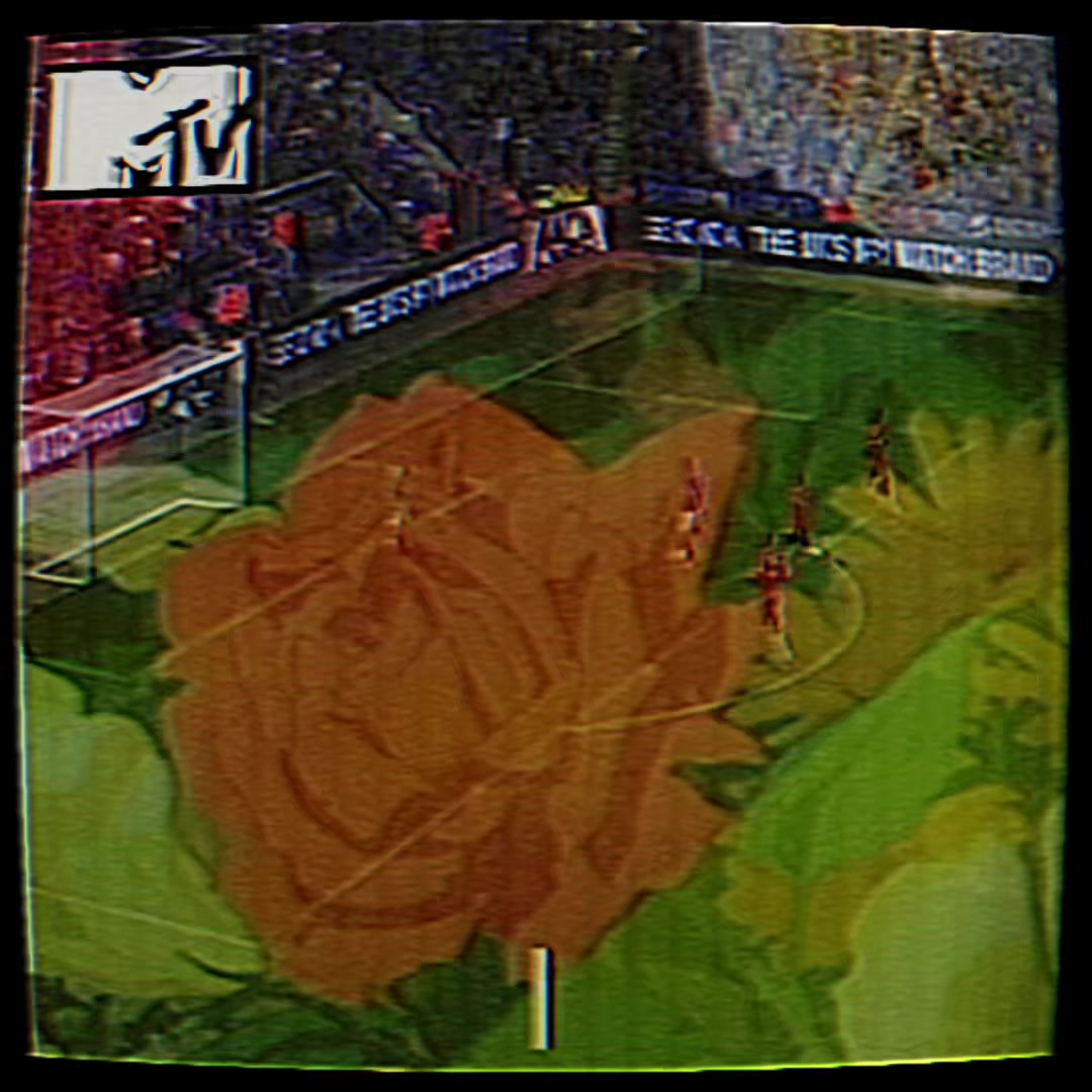 @𝙑𝙞𝙯𝙤𝙞𝙣𝙝𝙤