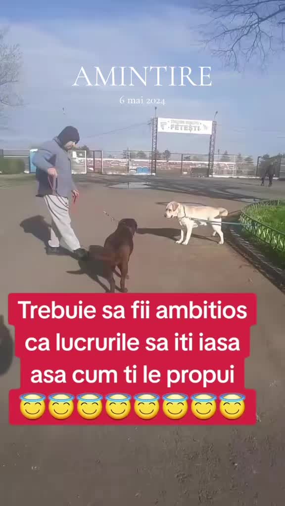 @Stefania