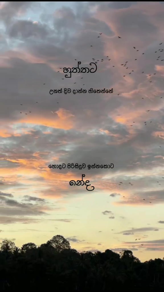@love story 🤍