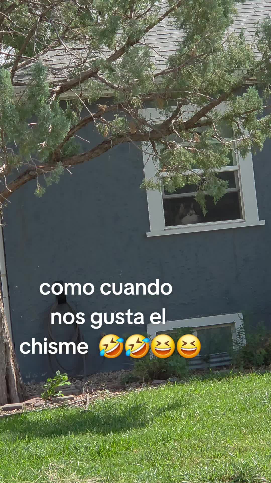 @mirian gricelda