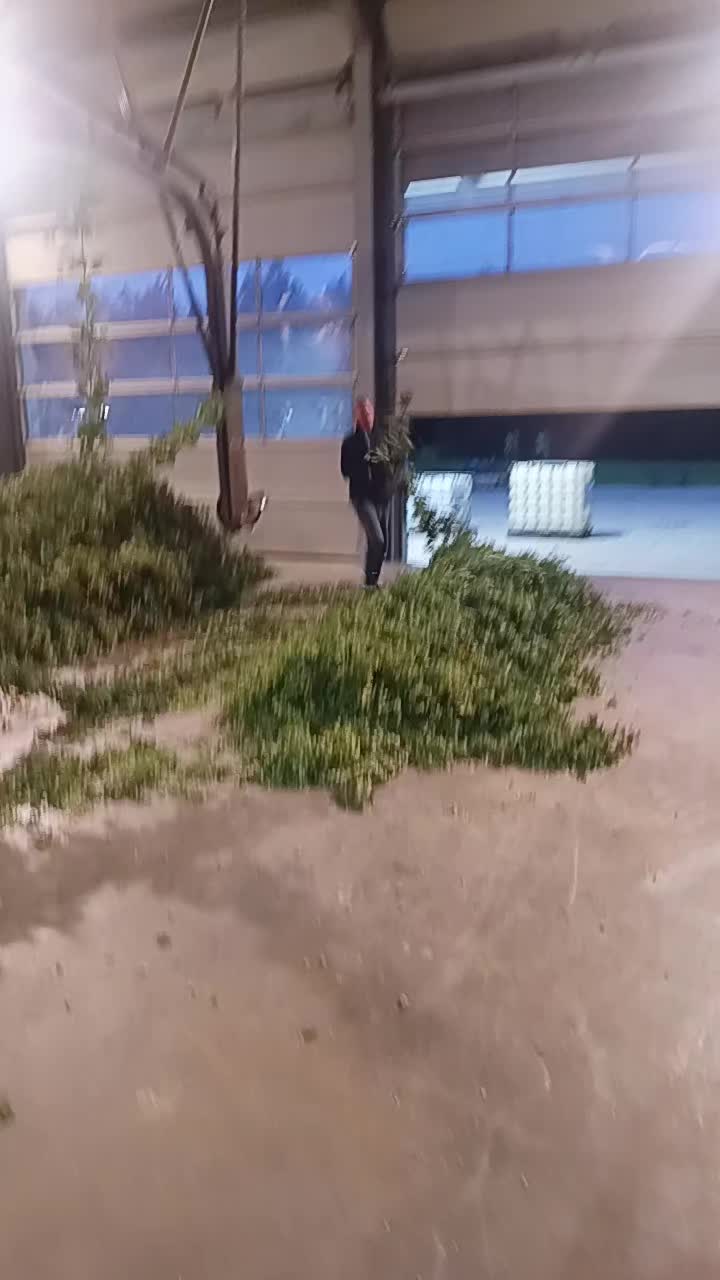 @Ciotârcă Ovidiu!