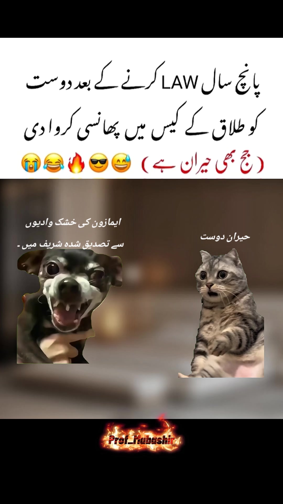 @Its๛Mubashir