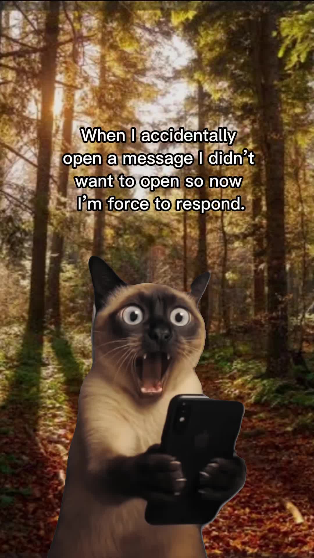 @🤎🤍 ɓóɓɓý 🤍🤎