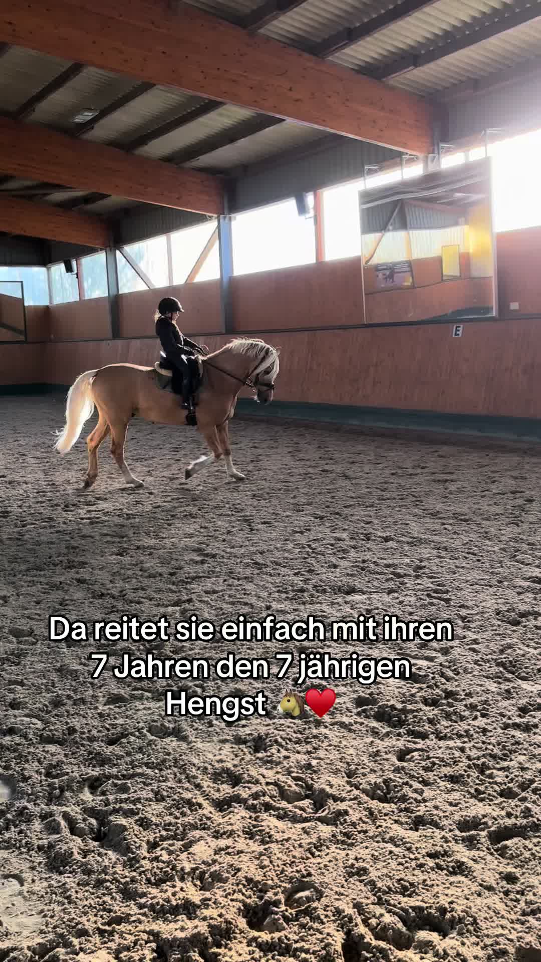 @Shanea & ihre Ponys ♥️🐴