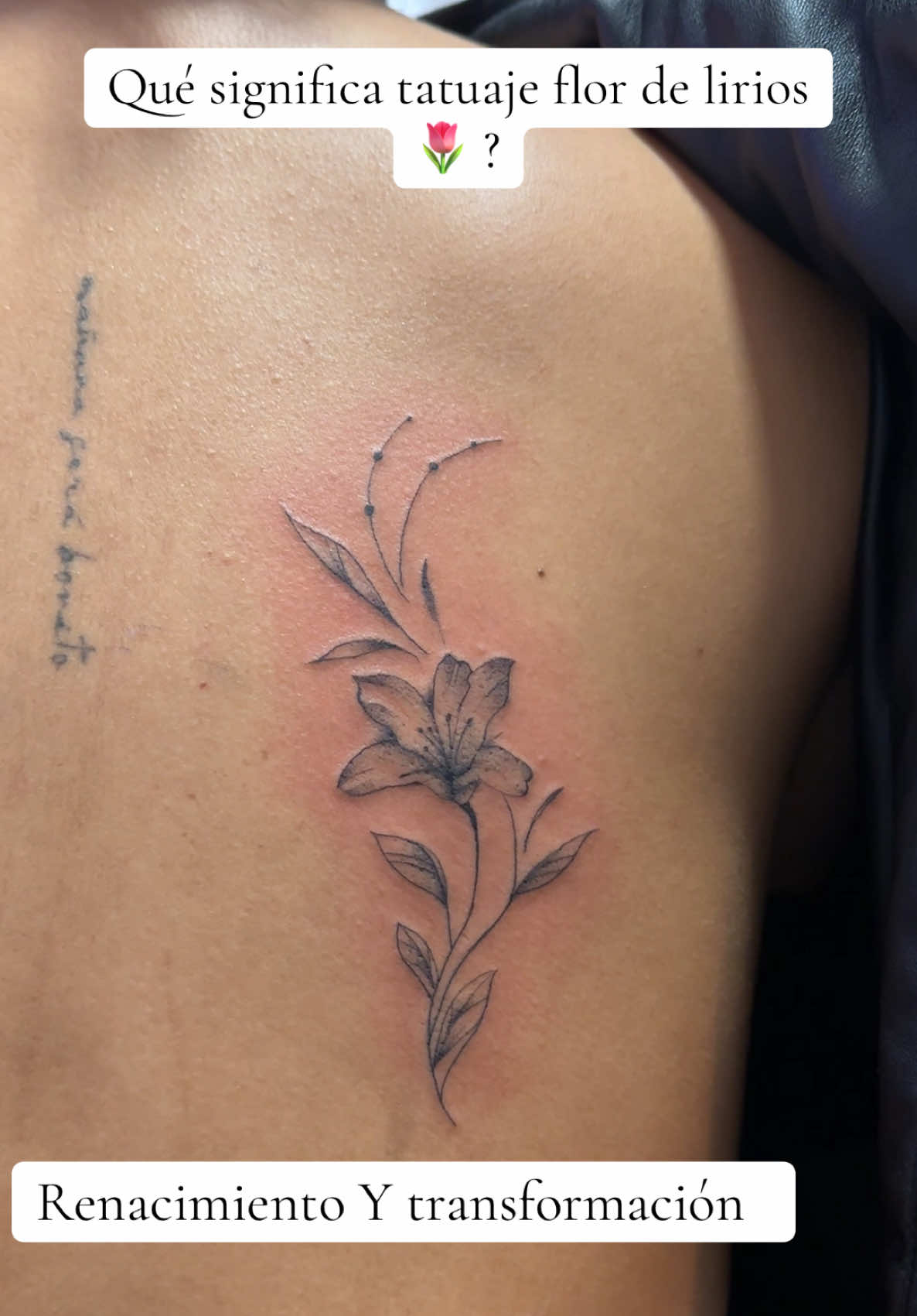 @JL Alejo Tatto 💉
