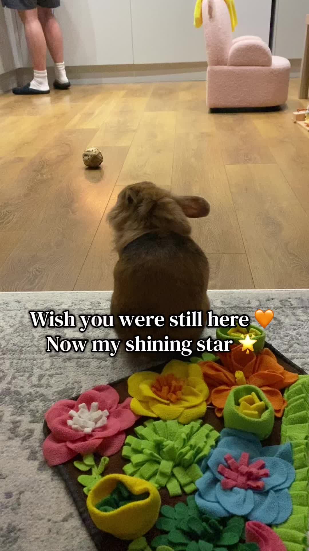@Marmite🪽Toastie, Nala ♡