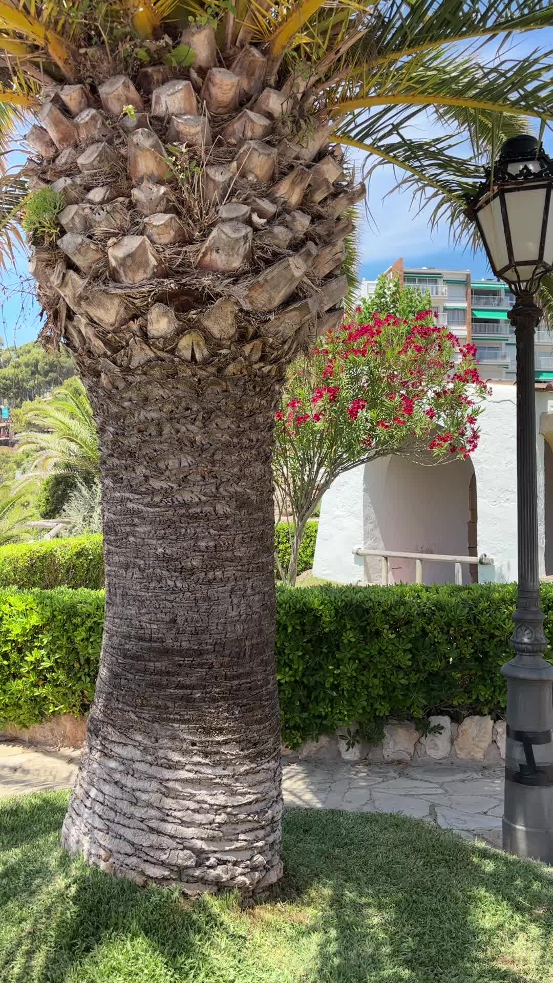 @Miré❤️🔥
