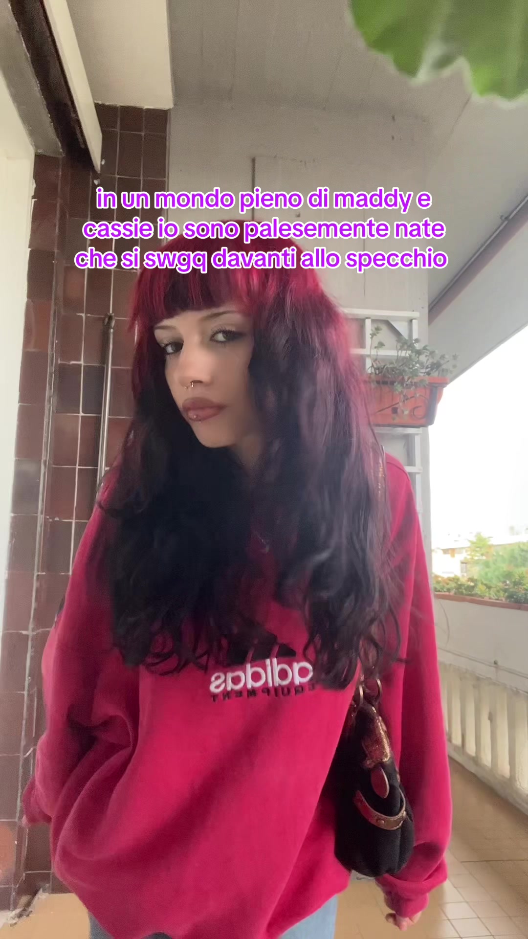 @lasagna